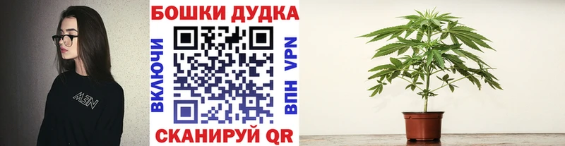 Бошки Шишки тримм  сколько стоит  Черкесск 